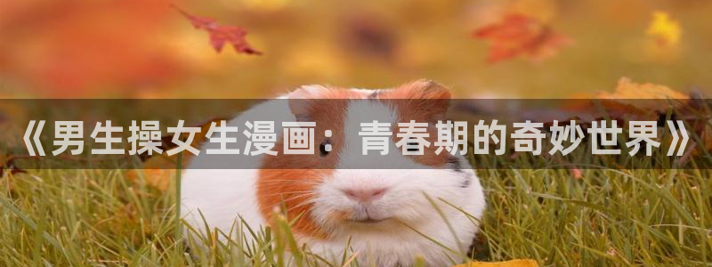 羞羞漫画sss韩漫在线观看