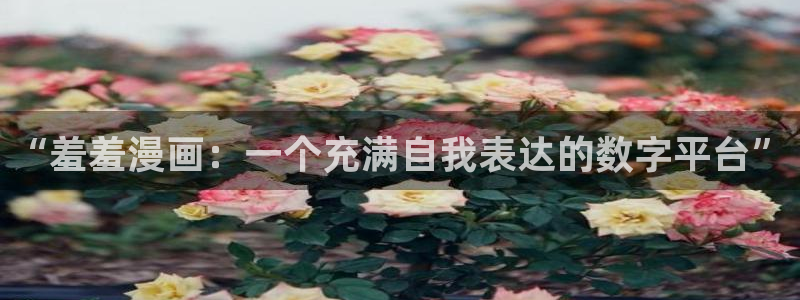 歪韩漫画