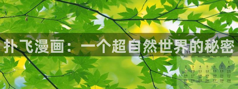 看韩漫的地址