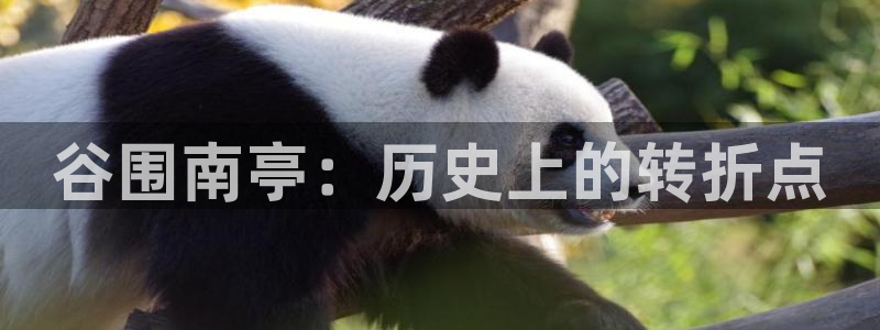免费漫画入口韩漫在线看