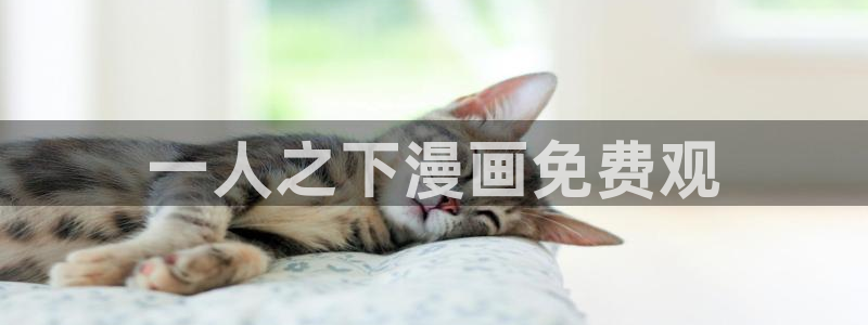 漫画肉韩漫