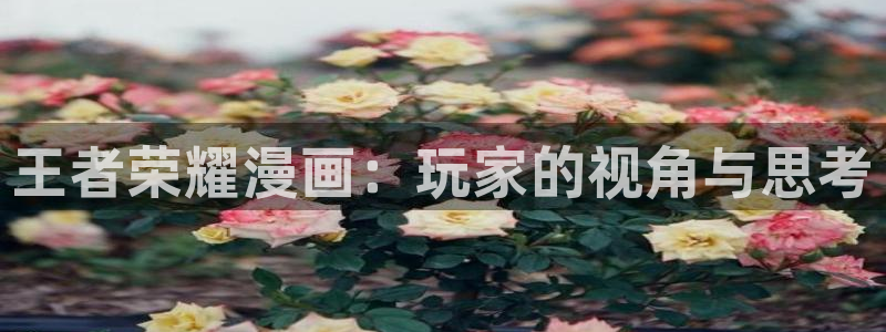 韩漫漫画网站入口：王者荣耀漫画：玩家的视角与思考
