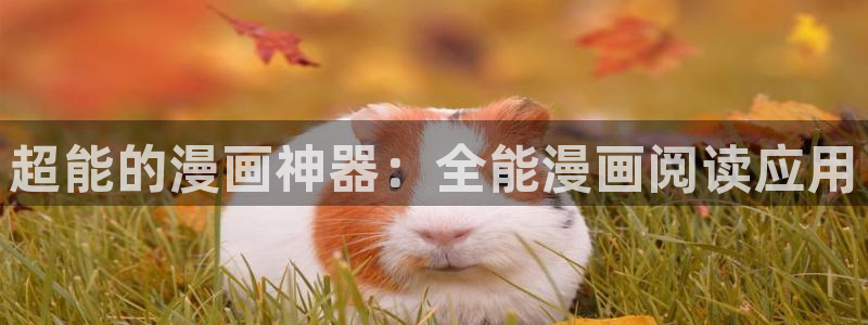 羞羞的漫画韩漫在线观看