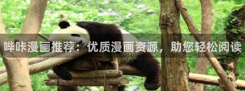 虎视眈眈韩漫在线观看