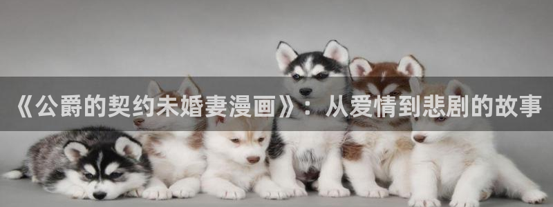 美丽新世界韩漫画无删减免费阅读