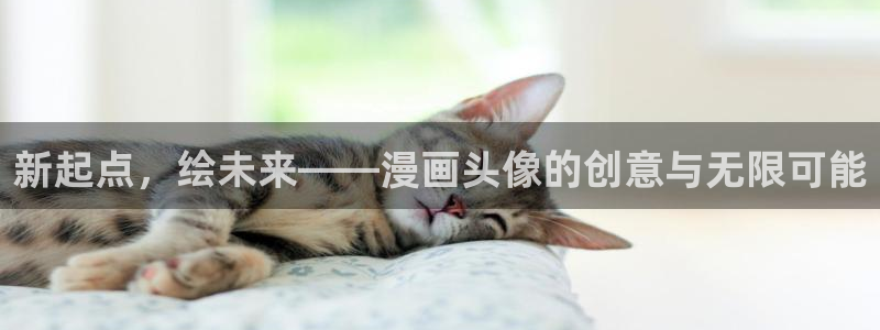 看韩漫的免费网站