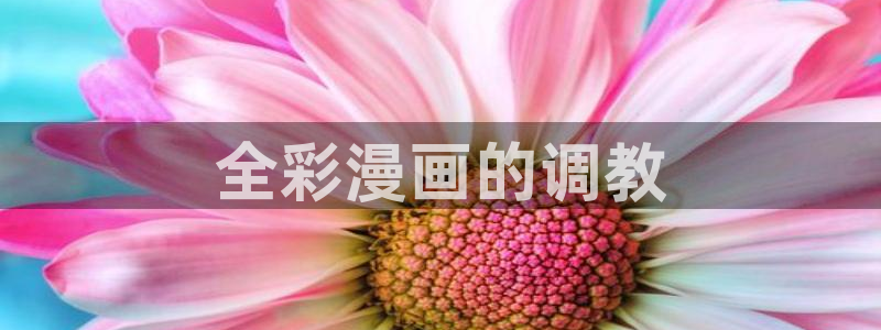 韩漫第一漫画网站无删减版：全彩漫画的调教