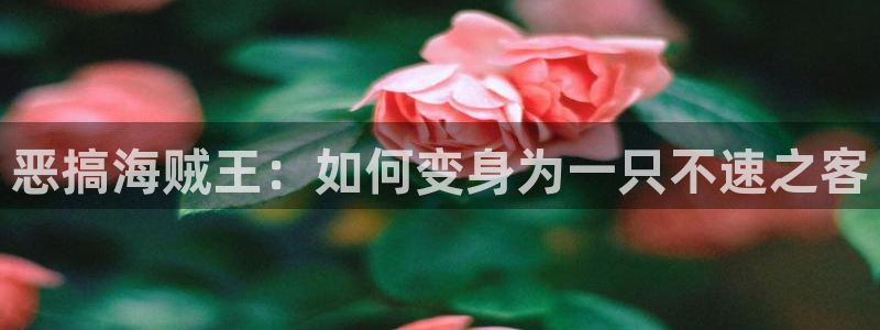 好的漫画韩漫：恶搞海贼王：如何变身为一只不速之客